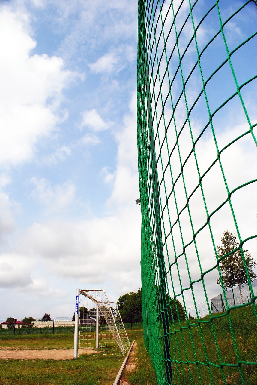 多数人强调 多数人强调