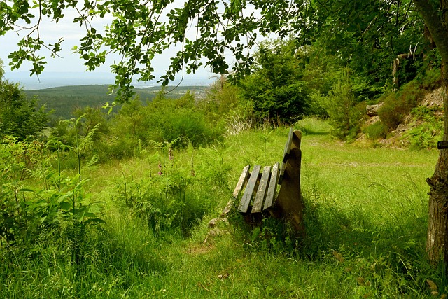 正如莫德里 正如莫德里