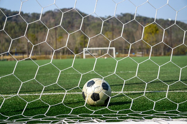 显得尤为激 显得尤为激