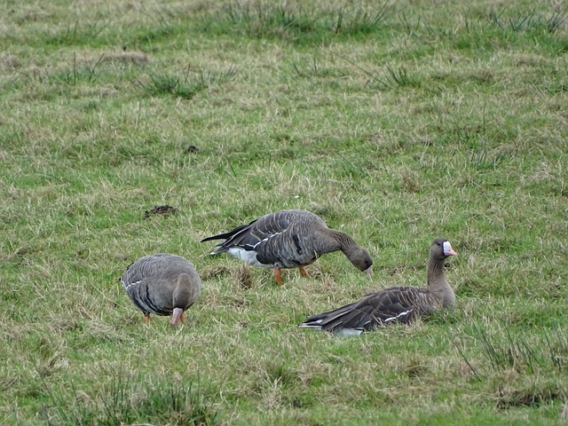 年轻且充满 年轻且充满