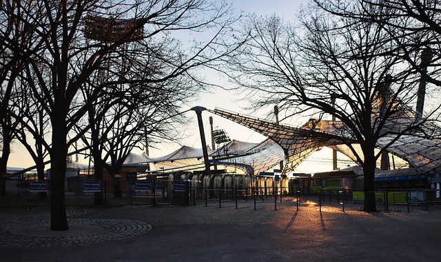 成为一支不 成为一支不