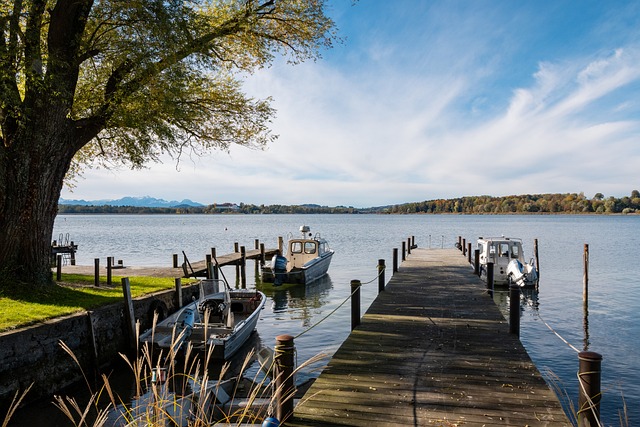 阿森纳主教 阿森纳主教