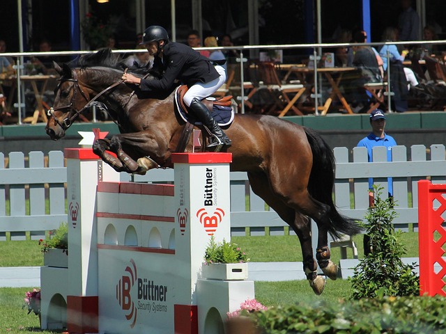 毅力与努力 毅力与努力