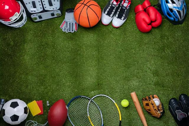 奥尔特加加 奥尔特加加