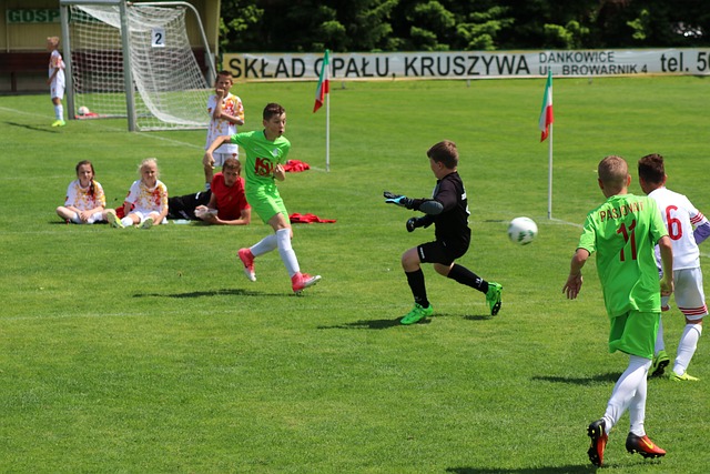 无数球迷的 无数球迷的