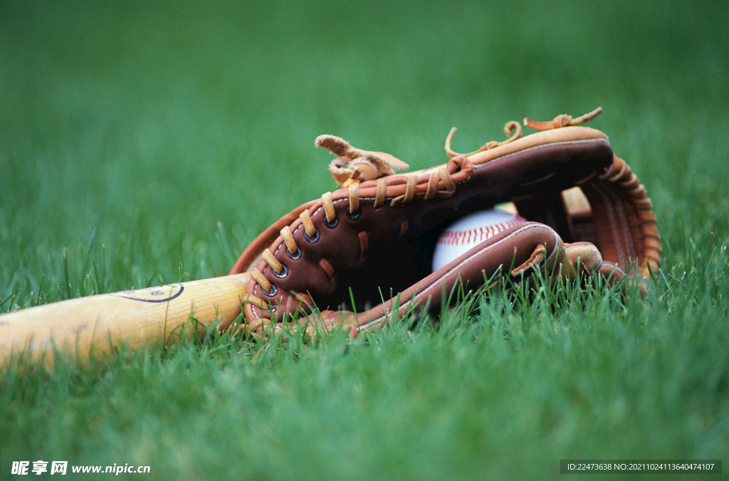 们提供了一 们提供了一